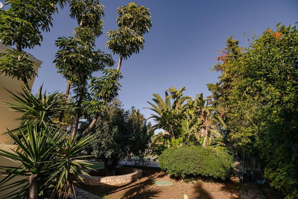 Villa Elmar Aegina Ngoại thất bức ảnh