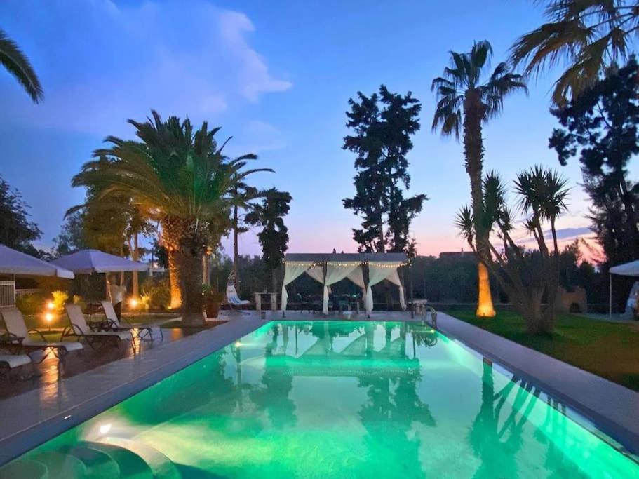 Villa Elmar Aegina Ngoại thất bức ảnh